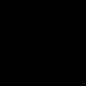 Meet your Posher, Maya